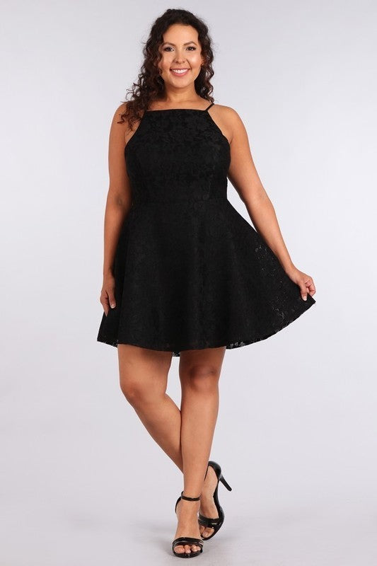 Lace Fit and Flare Cocktail Dress